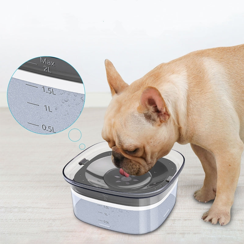 Slow-Feeding Bowls That Prevent Dog Bloat and Regurgitation