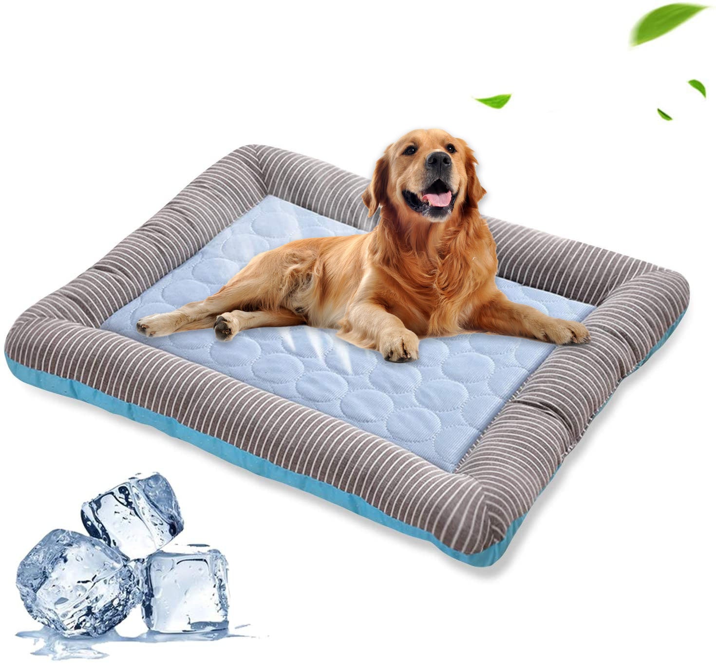 Pet Beds & Comfort