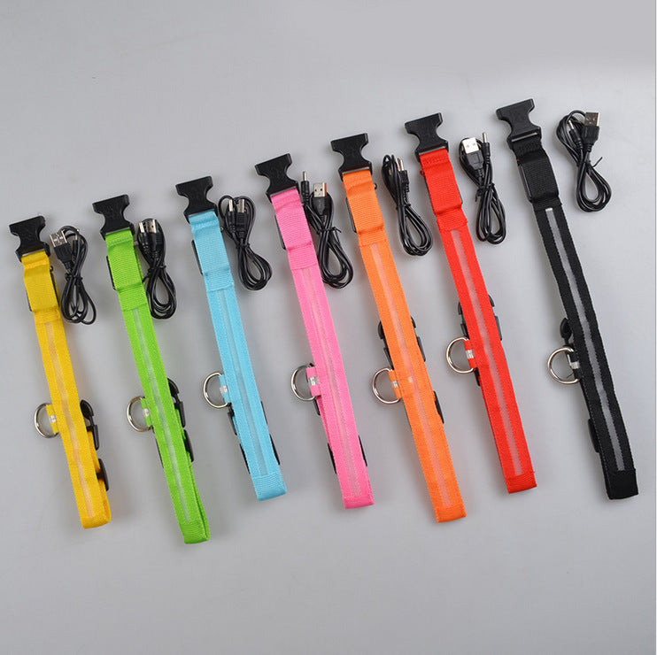 Bright Paws LED Safety Collar for Night Walks