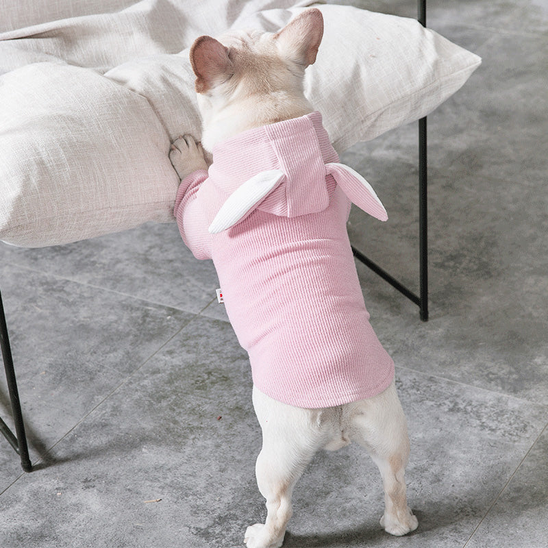 Lightweight Dog Clothes for Spring and Fall Comfort