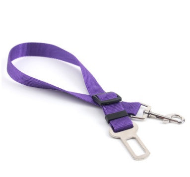 Comfortable Fixed Strap Dog Leash for Happy Daily Walks