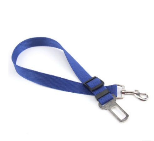 Comfortable Fixed Strap Dog Leash for Happy Daily Walks