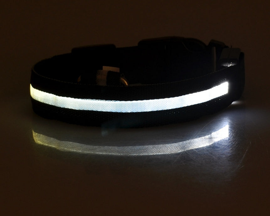 Bright Paws LED Safety Collar for Night Walks