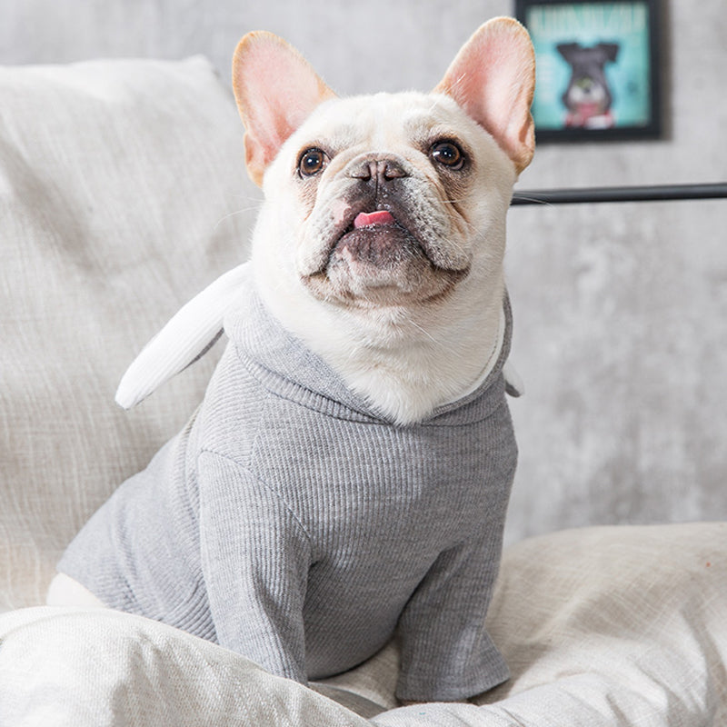 Lightweight Dog Clothes for Spring and Fall Comfort