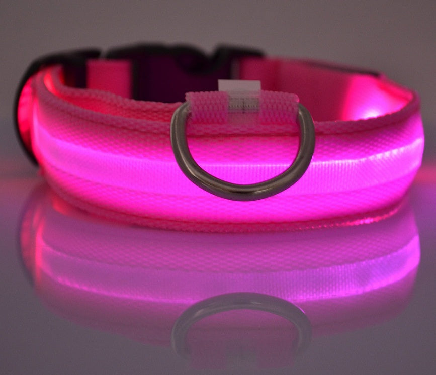 Bright Paws LED Safety Collar for Night Walks
