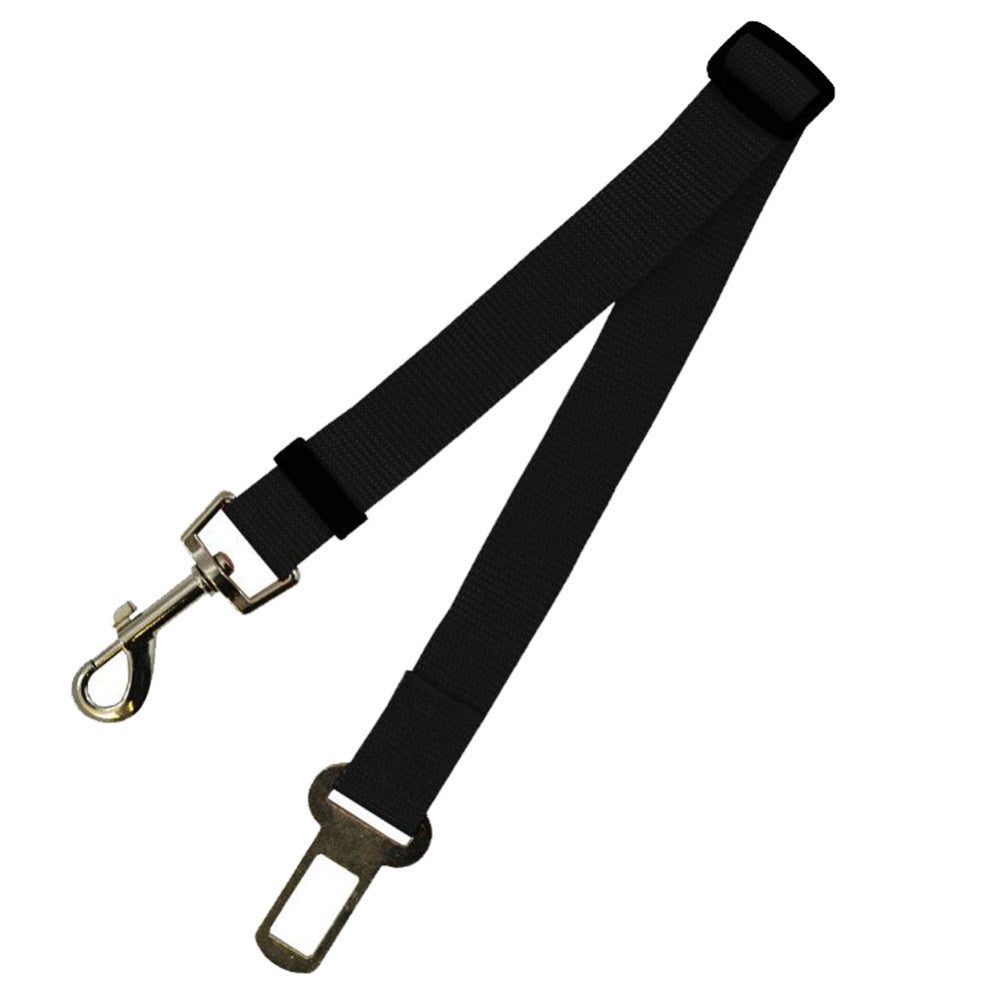 Comfortable Fixed Strap Dog Leash for Happy Daily Walks