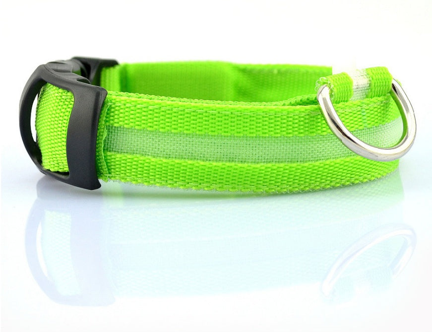 Bright Paws LED Safety Collar for Night Walks