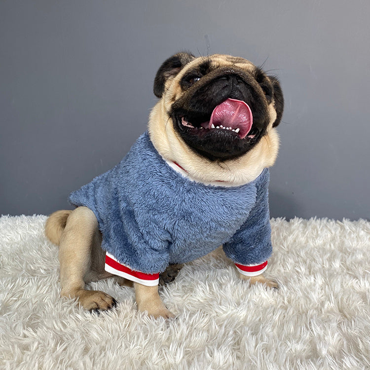 Soft Knit Pet Sweater for Year-Round Comfort