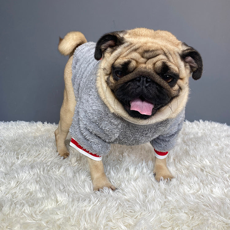 Soft Knit Pet Sweater for Year-Round Comfort