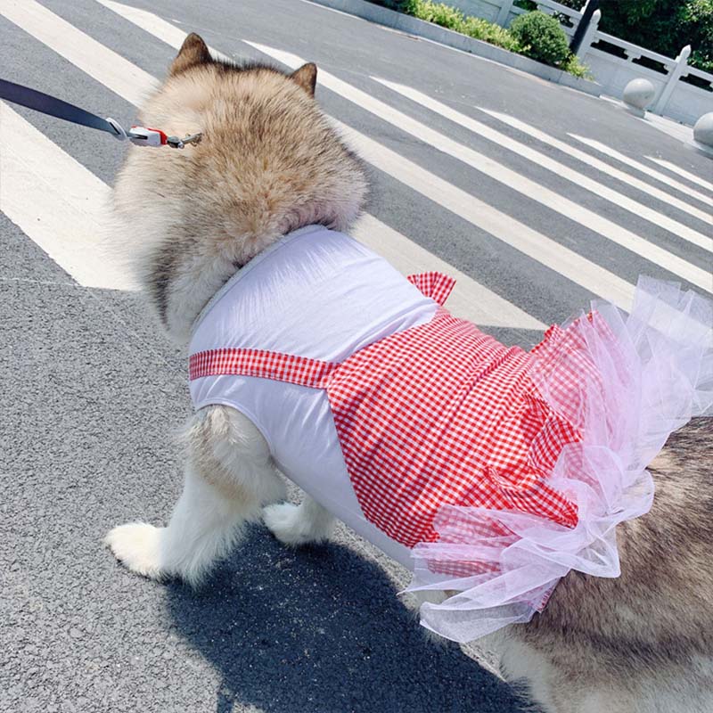 Adorable Princess Costume for Your Big Dog