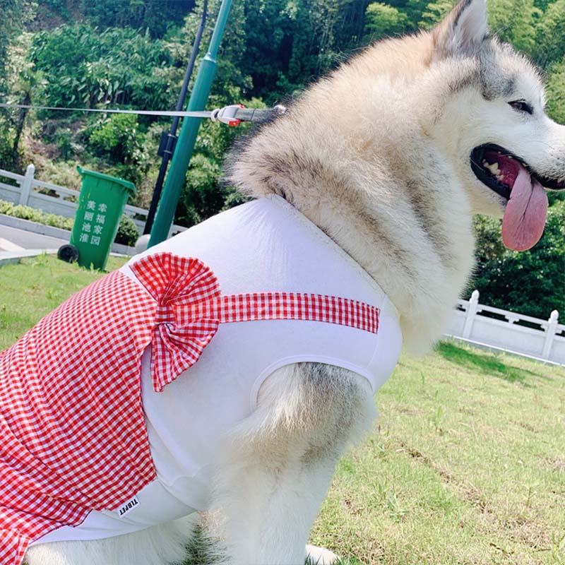 Adorable Princess Costume for Your Big Dog