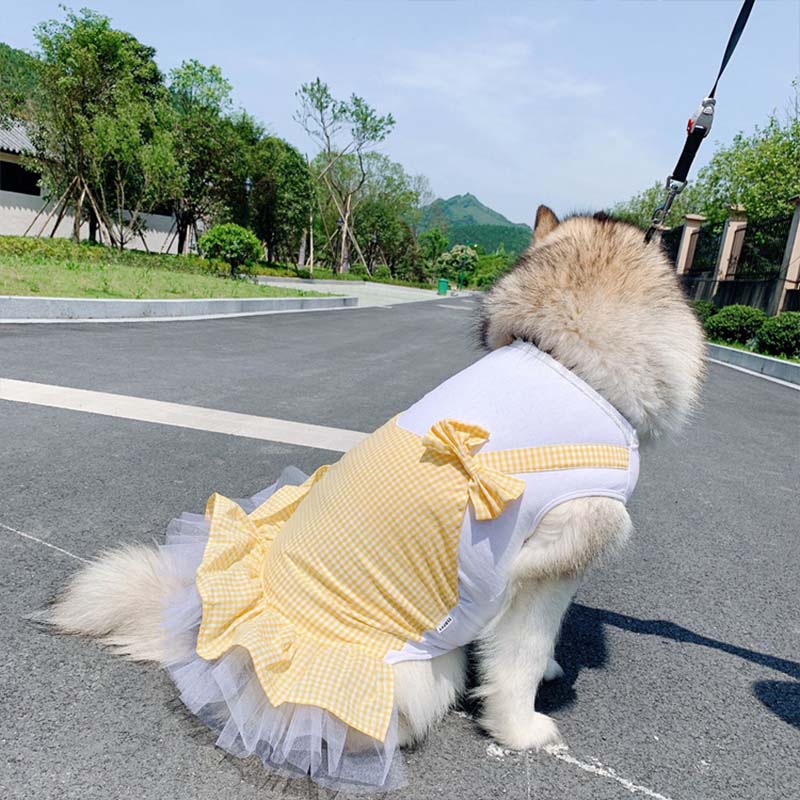 Adorable Princess Costume for Your Big Dog