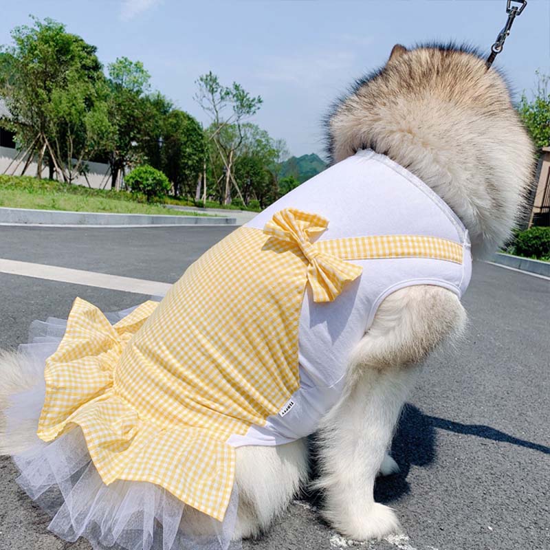 Adorable Princess Costume for Your Big Dog