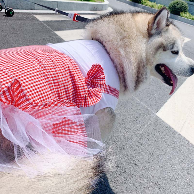 Adorable Princess Costume for Your Big Dog