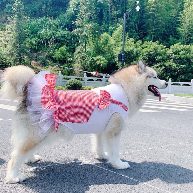 Adorable Princess Costume for Your Big Dog