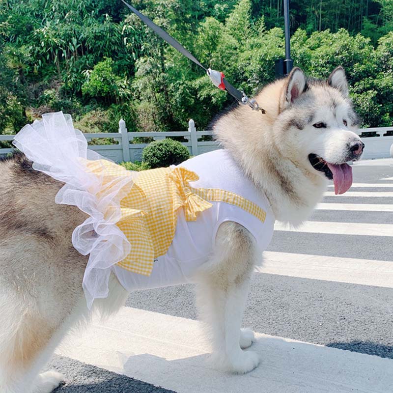 Adorable Princess Costume for Your Big Dog