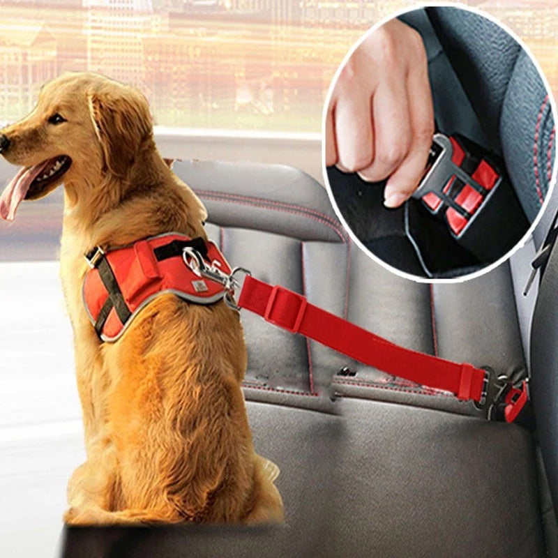 Buckle Up Buddy – Pet Car Safety Belt