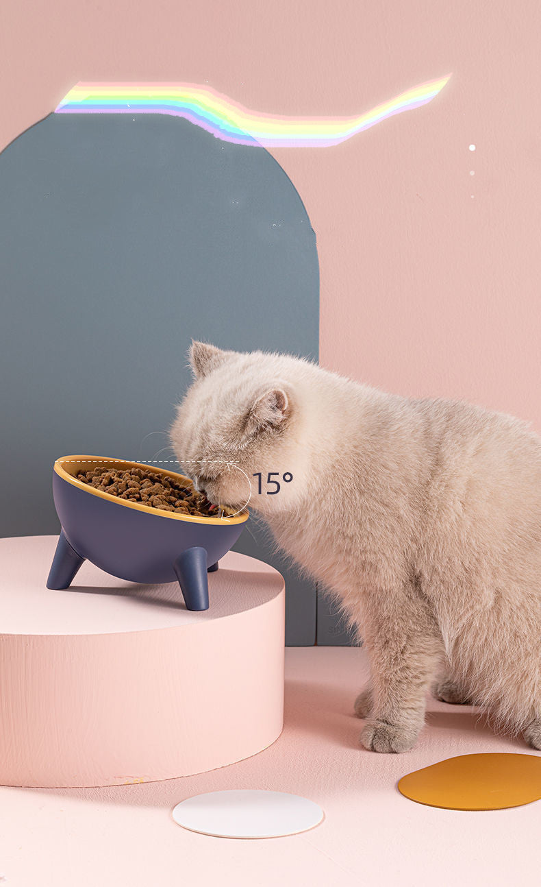 Stylish Raised Pet Bowls for Comfortable Mealtime