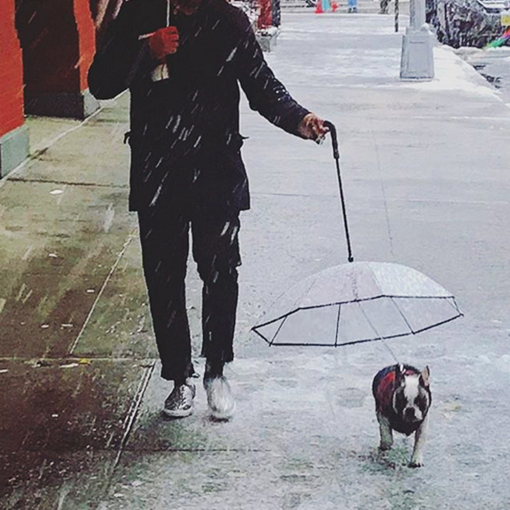 Rainy Day Walks Made Easy for Your Dog