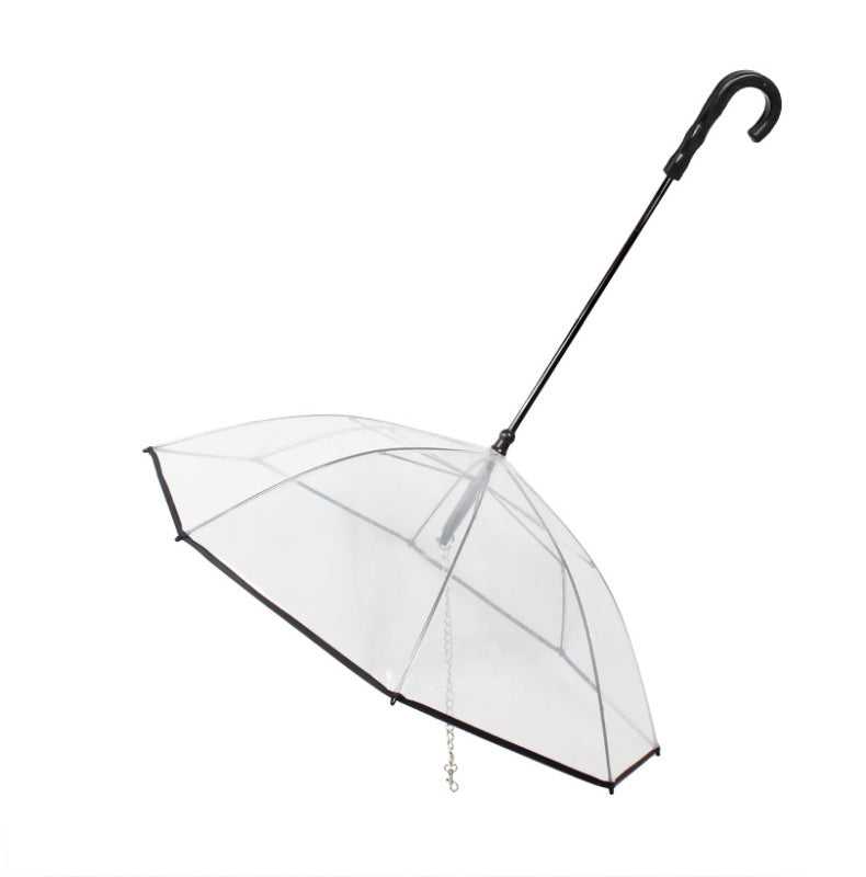 Rainy Day Walks Made Easy for Your Dog
