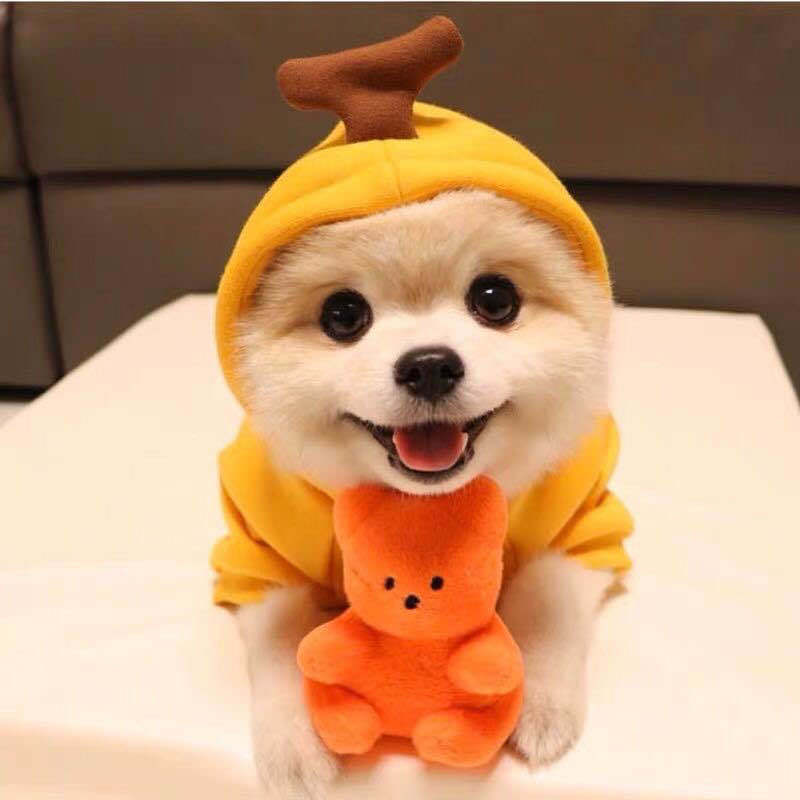 Warm Fleece Hoodie for Small Dogs and Cats