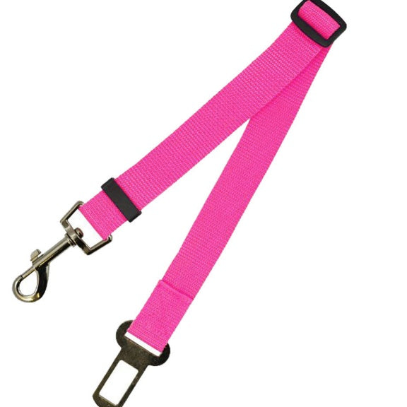 Comfortable Fixed Strap Dog Leash for Happy Daily Walks