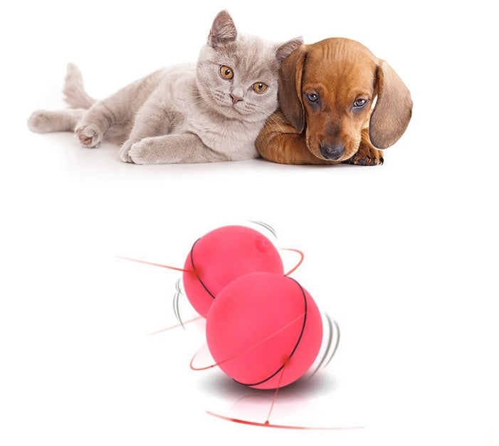 Interactive LED Laser Toy for Playful Cats
