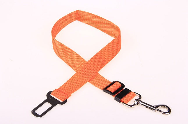 Comfortable Fixed Strap Dog Leash for Happy Daily Walks