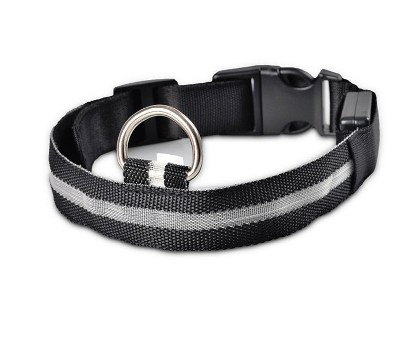 Bright Paws LED Safety Collar for Night Walks
