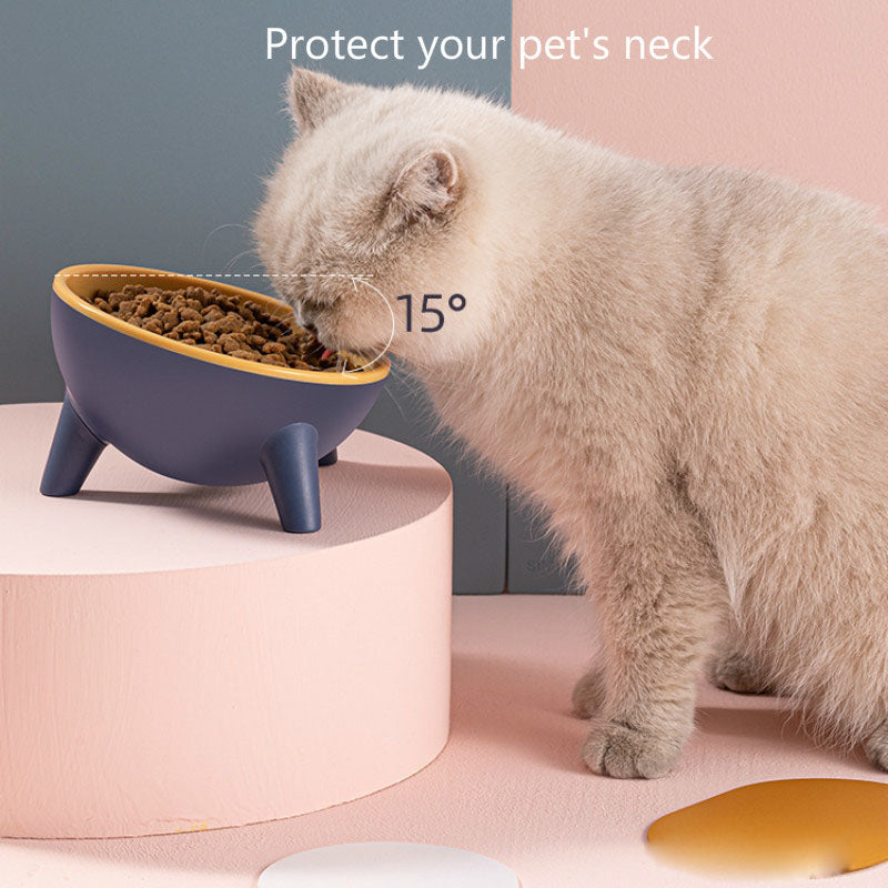 Stylish Raised Pet Bowls for Comfortable Mealtime