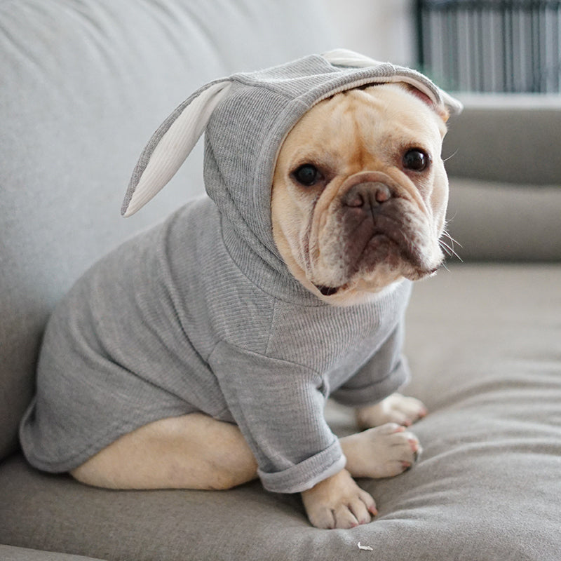 Lightweight Dog Clothes for Spring and Fall Comfort