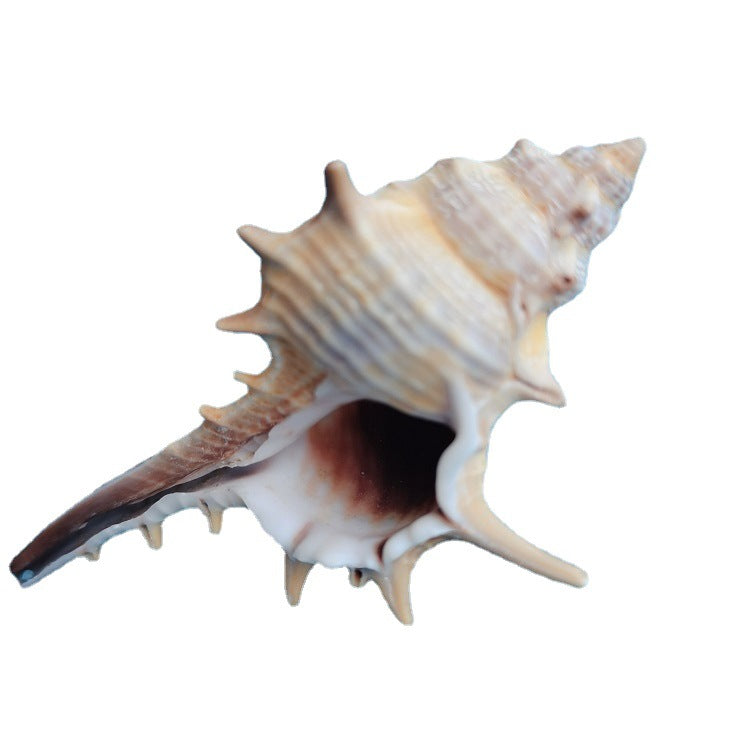 af03aa52b5951945c9ae0b2179f0c076