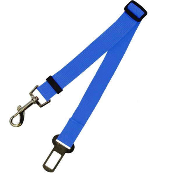 Comfortable Fixed Strap Dog Leash for Happy Daily Walks