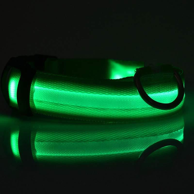 Bright Paws LED Safety Collar for Night Walks