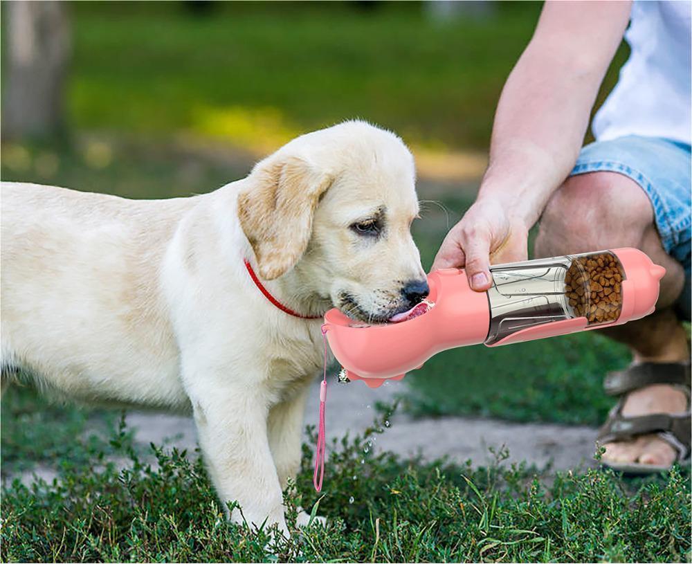 All-in-One Travel Bottle for Happy, Hydrated Dogs