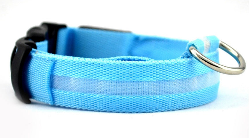 Bright Paws LED Safety Collar for Night Walks