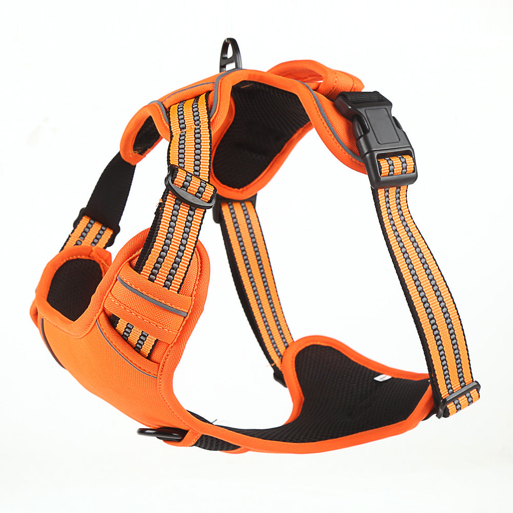 Comfortable No-Pull Harness for Happier Dog Walks