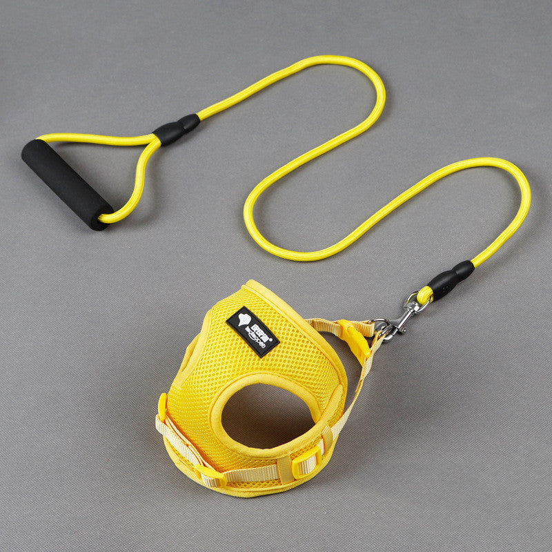 Complete Leash and Collar Set for Easy Dog Walks
