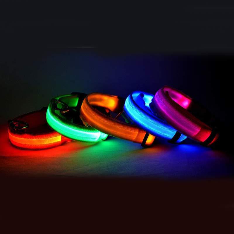 Bright Paws LED Safety Collar for Night Walks