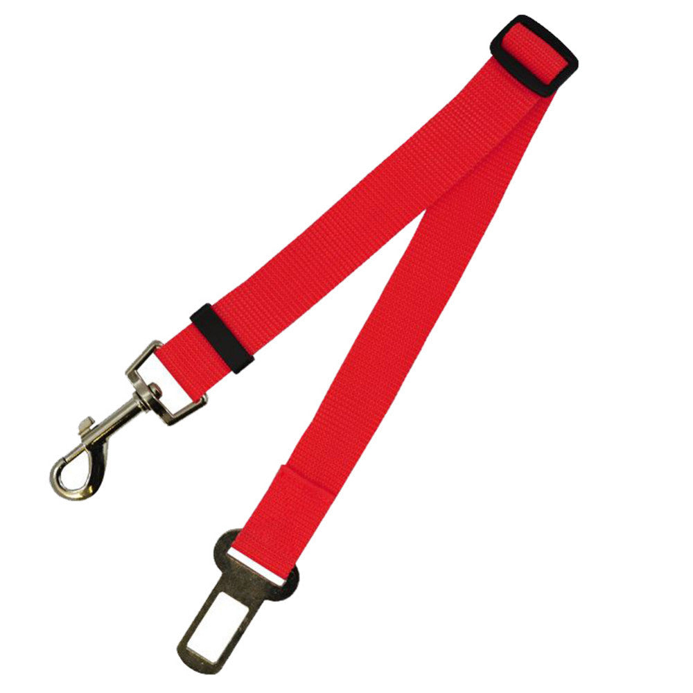 Comfortable Fixed Strap Dog Leash for Happy Daily Walks