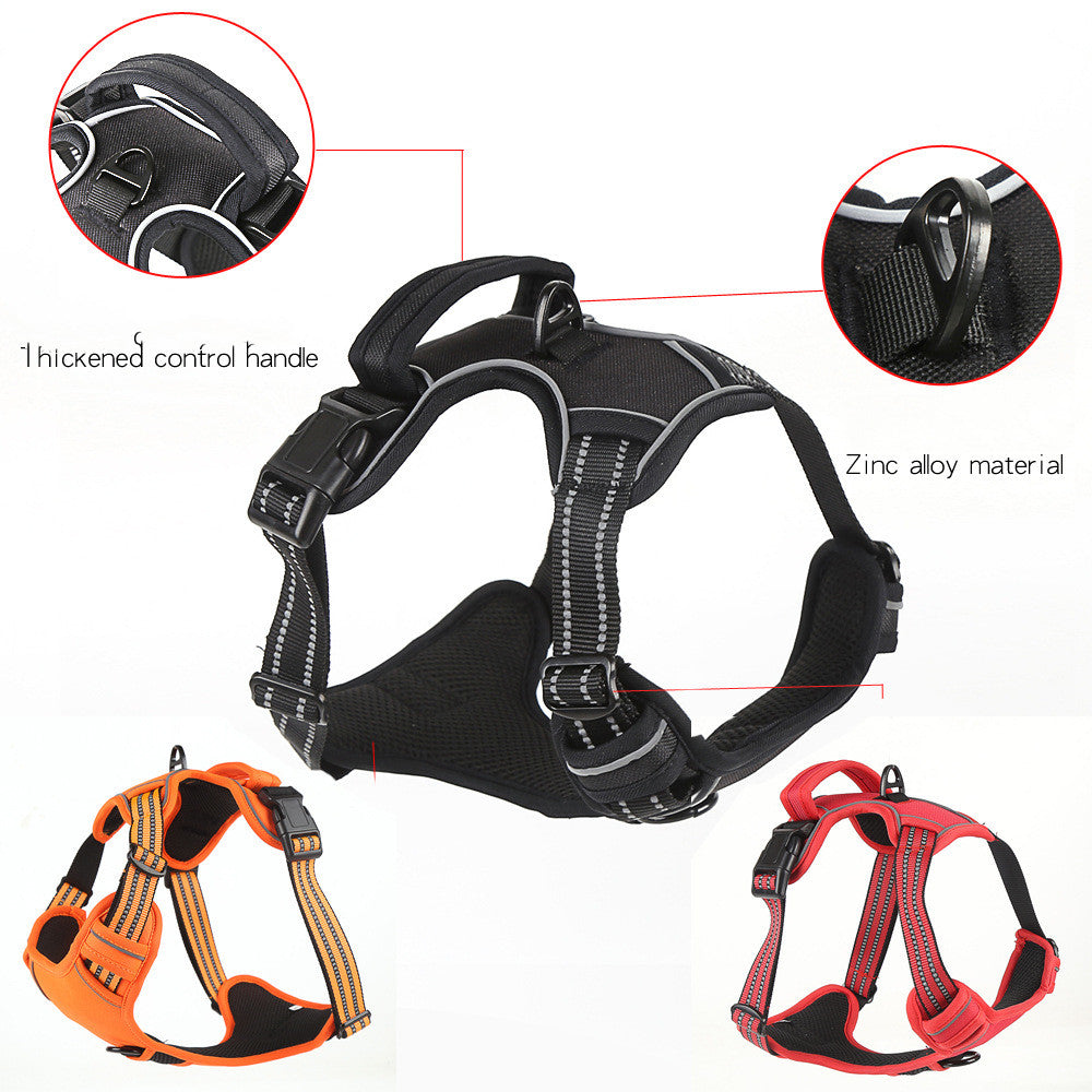 Comfortable No-Pull Harness for Happier Dog Walks
