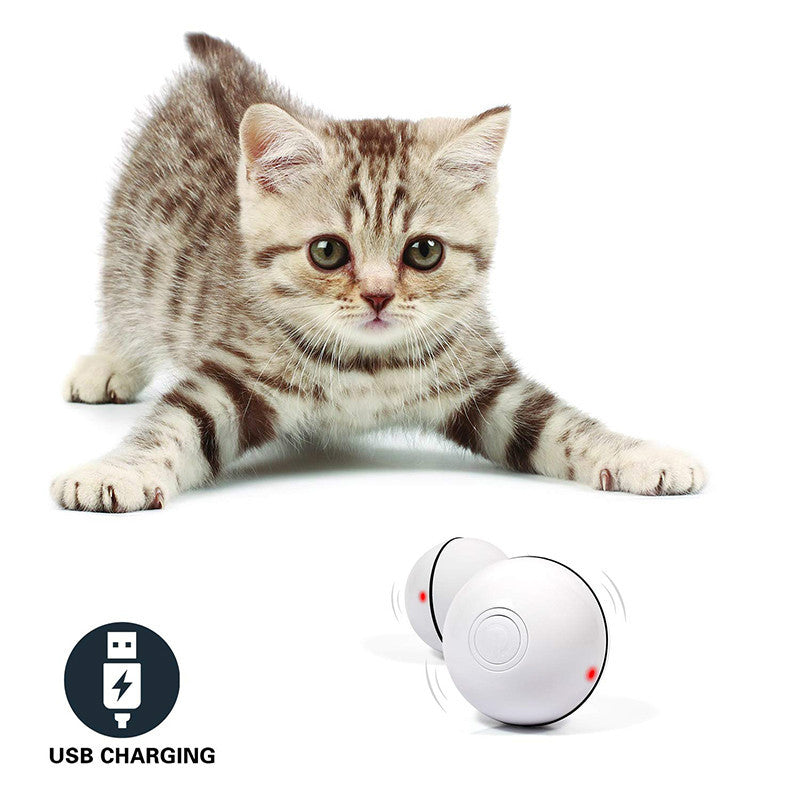 Interactive LED Laser Toy for Playful Cats