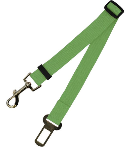 Comfortable Fixed Strap Dog Leash for Happy Daily Walks