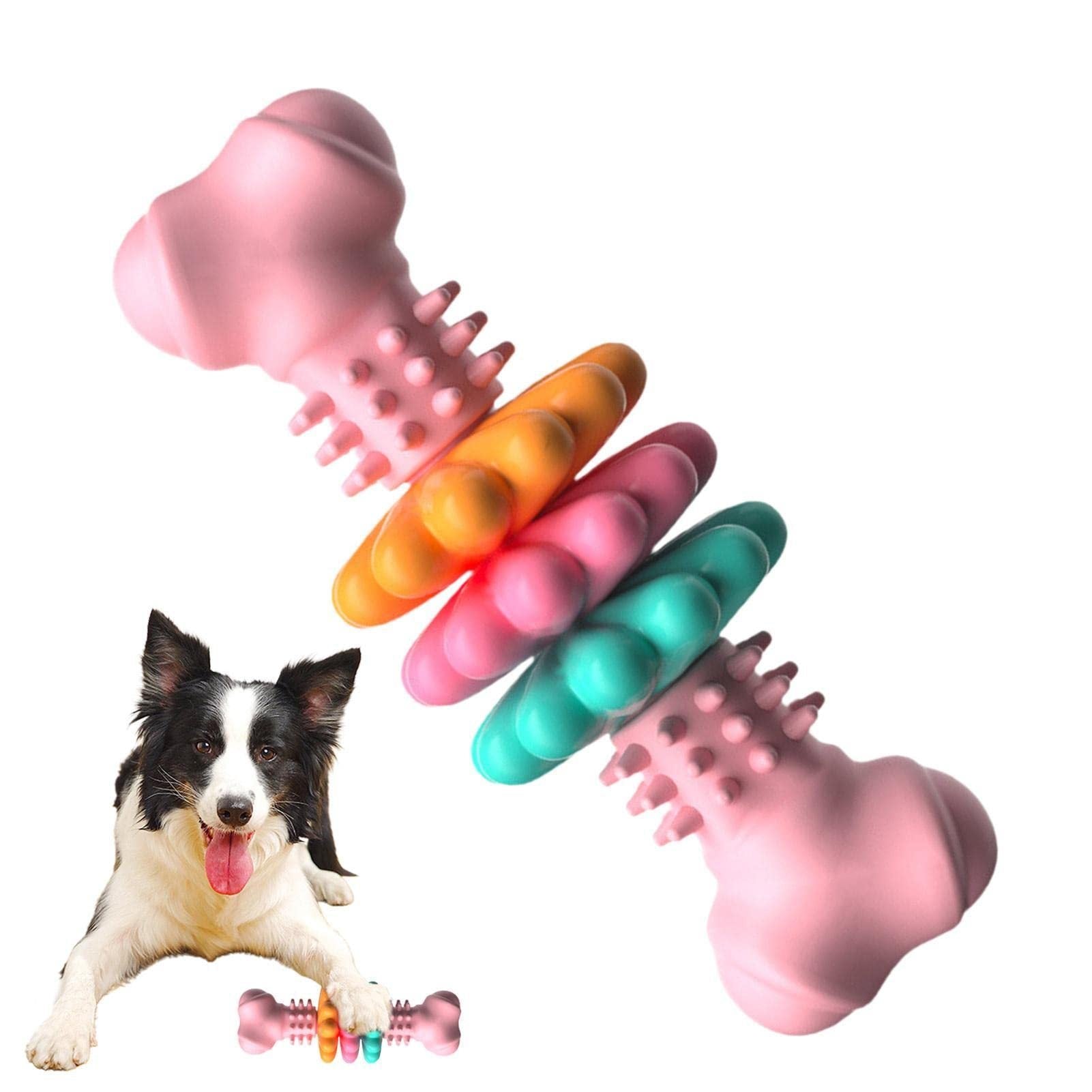 Fun & Durable Dog Bone for Teeth Cleaning