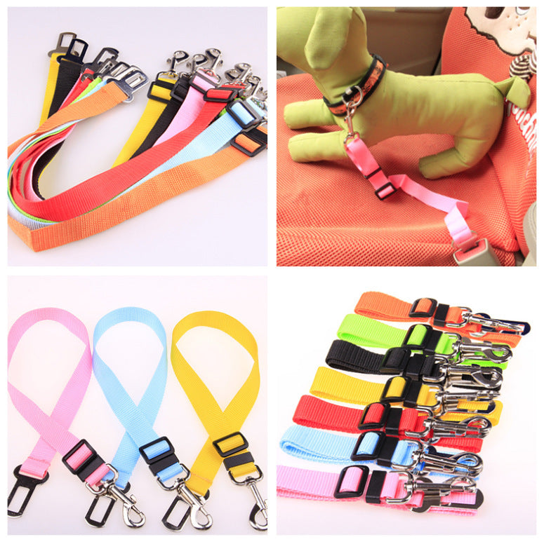 Comfortable Fixed Strap Dog Leash for Happy Daily Walks