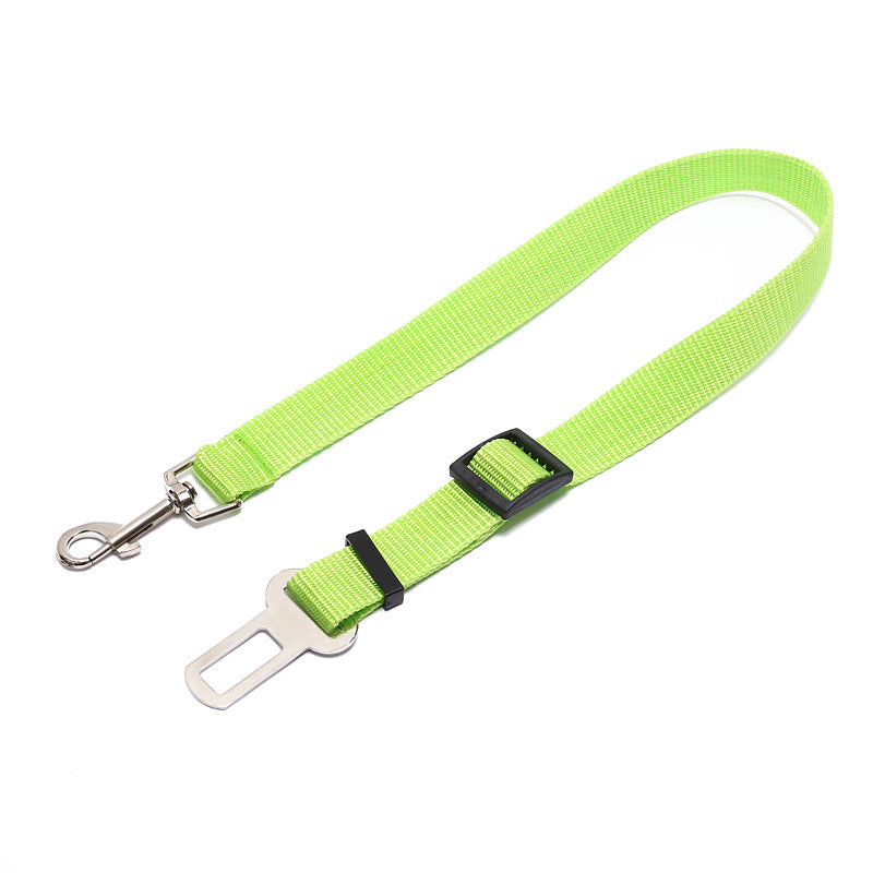 Comfortable Fixed Strap Dog Leash for Happy Daily Walks