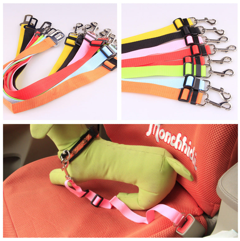 Comfortable Fixed Strap Dog Leash for Happy Daily Walks