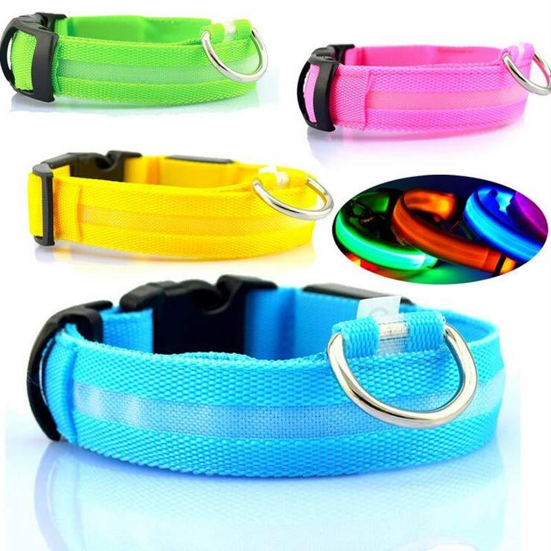 Bright Paws LED Safety Collar for Night Walks