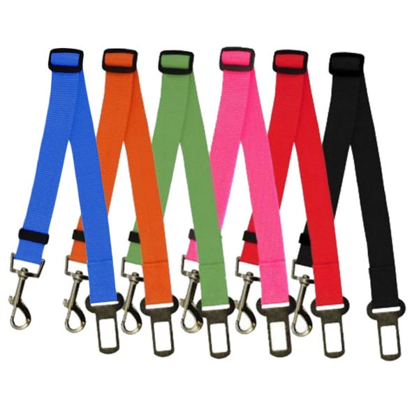 Comfortable Fixed Strap Dog Leash for Happy Daily Walks
