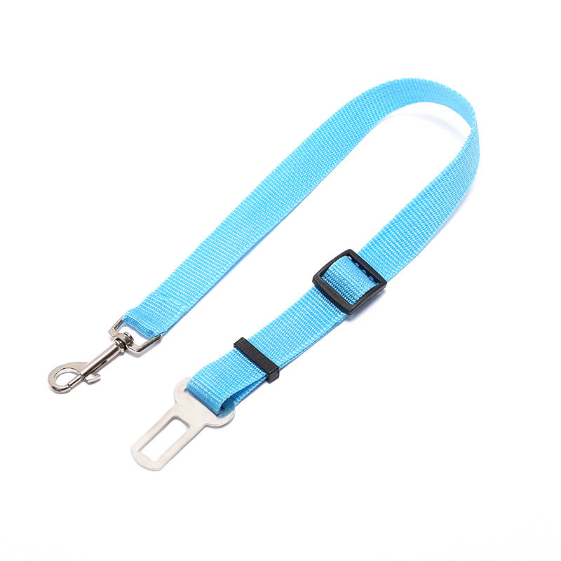 Comfortable Fixed Strap Dog Leash for Happy Daily Walks